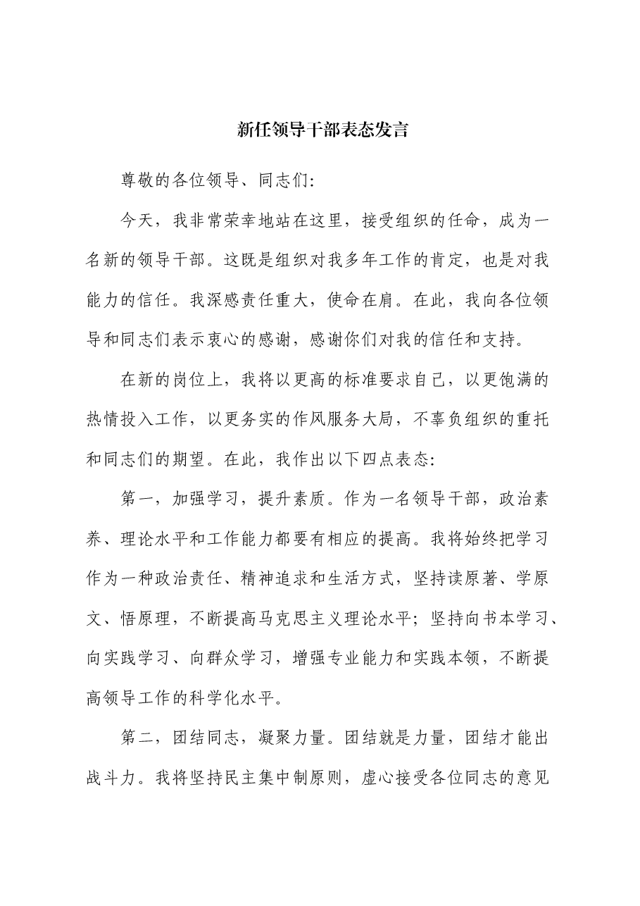 新任领导干部任职表态发言2.docx,第1页预览
