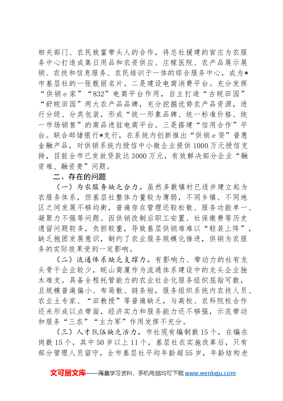 关于“供销服务‘三农’赋能乡村振兴”调研报告.docx,第3页预览