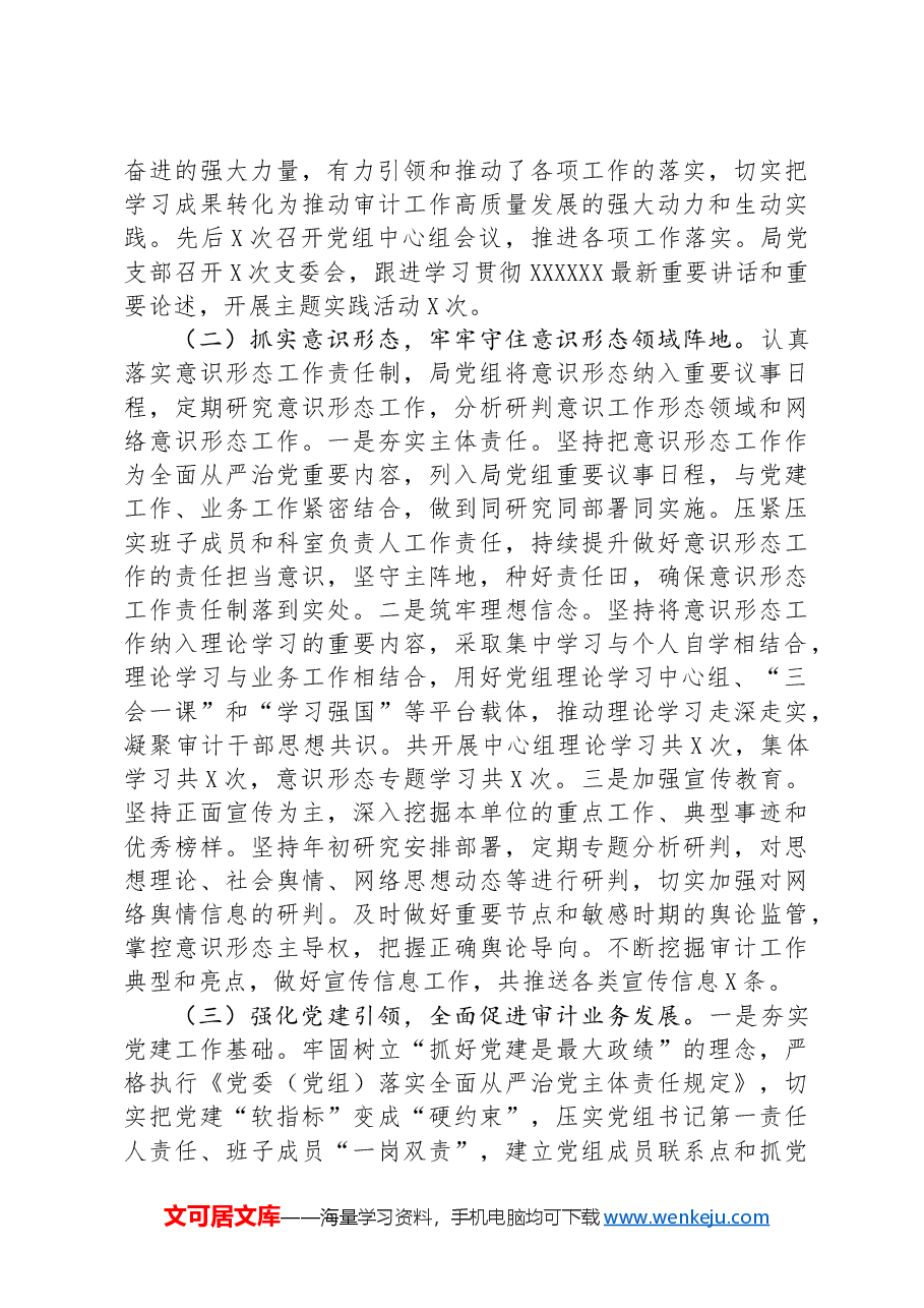 审计局2024年上半年工作总结及下半年工作计划.docx,第2页预览