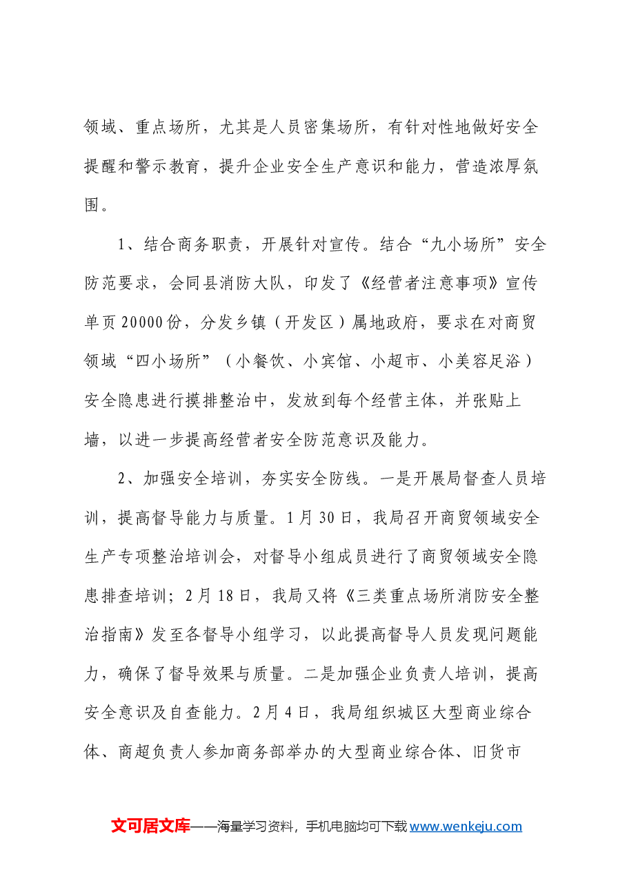 县商务领域2024年上半年安全生产工作总结.docx,第2页预览