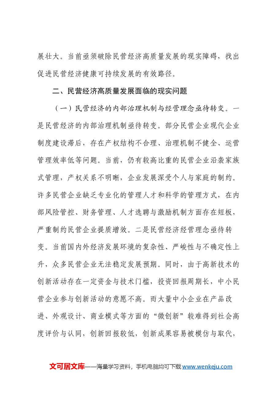专题党课:正确认识民营经济高质量发展面临的现实问题.docx,第3页预览