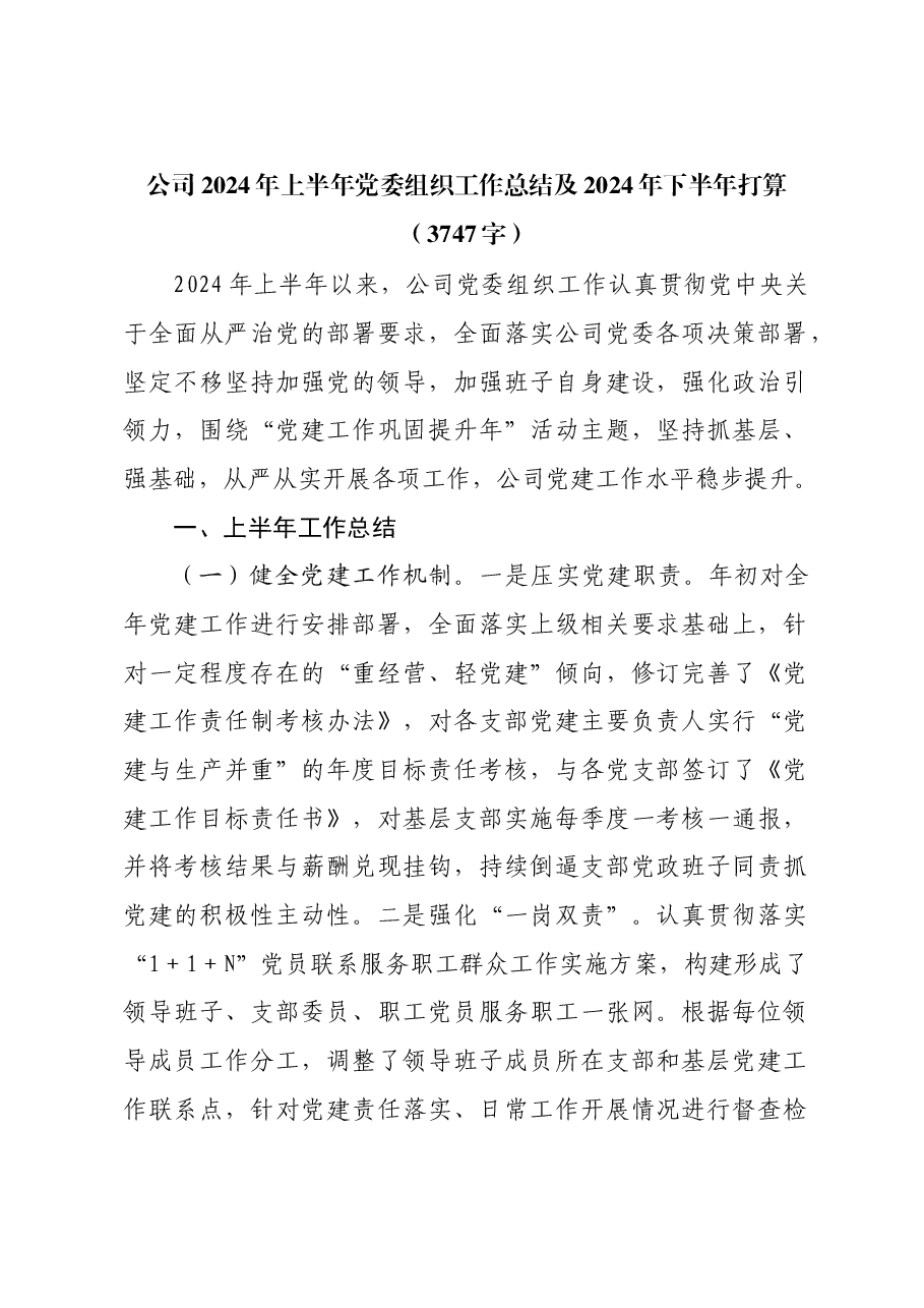 国企2024年上半年党委组织工作总结及2024年下半年打算.docx，第1页预览