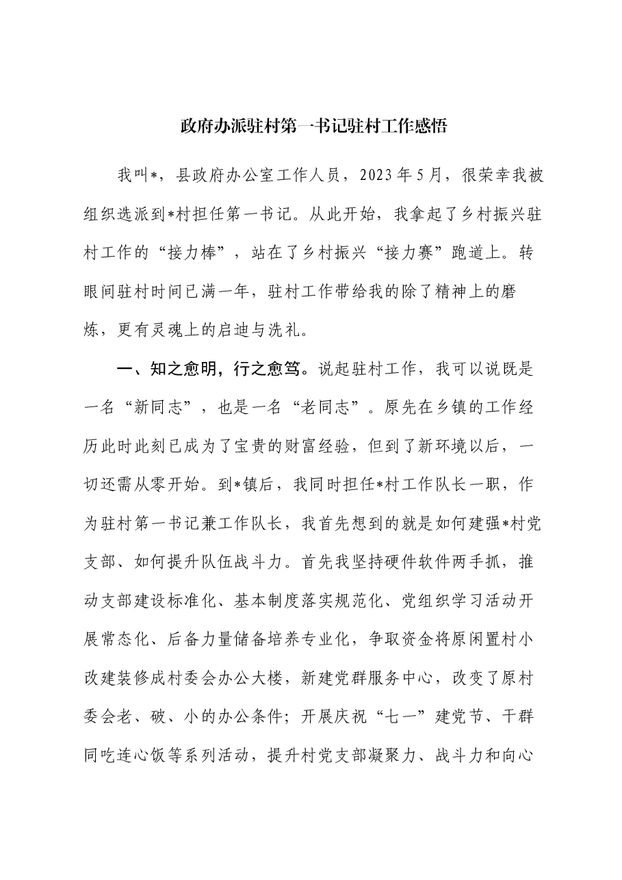 政府办派驻村第一书记驻村工作感悟(心得体会).docx,第1页预览