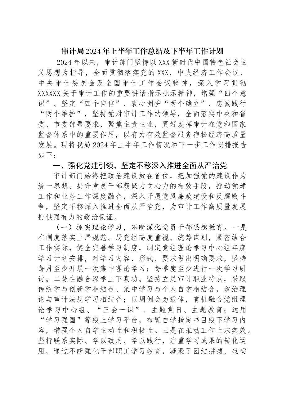 审计局2024年上半年工作总结及下半年工作计划.docx,第1页预览