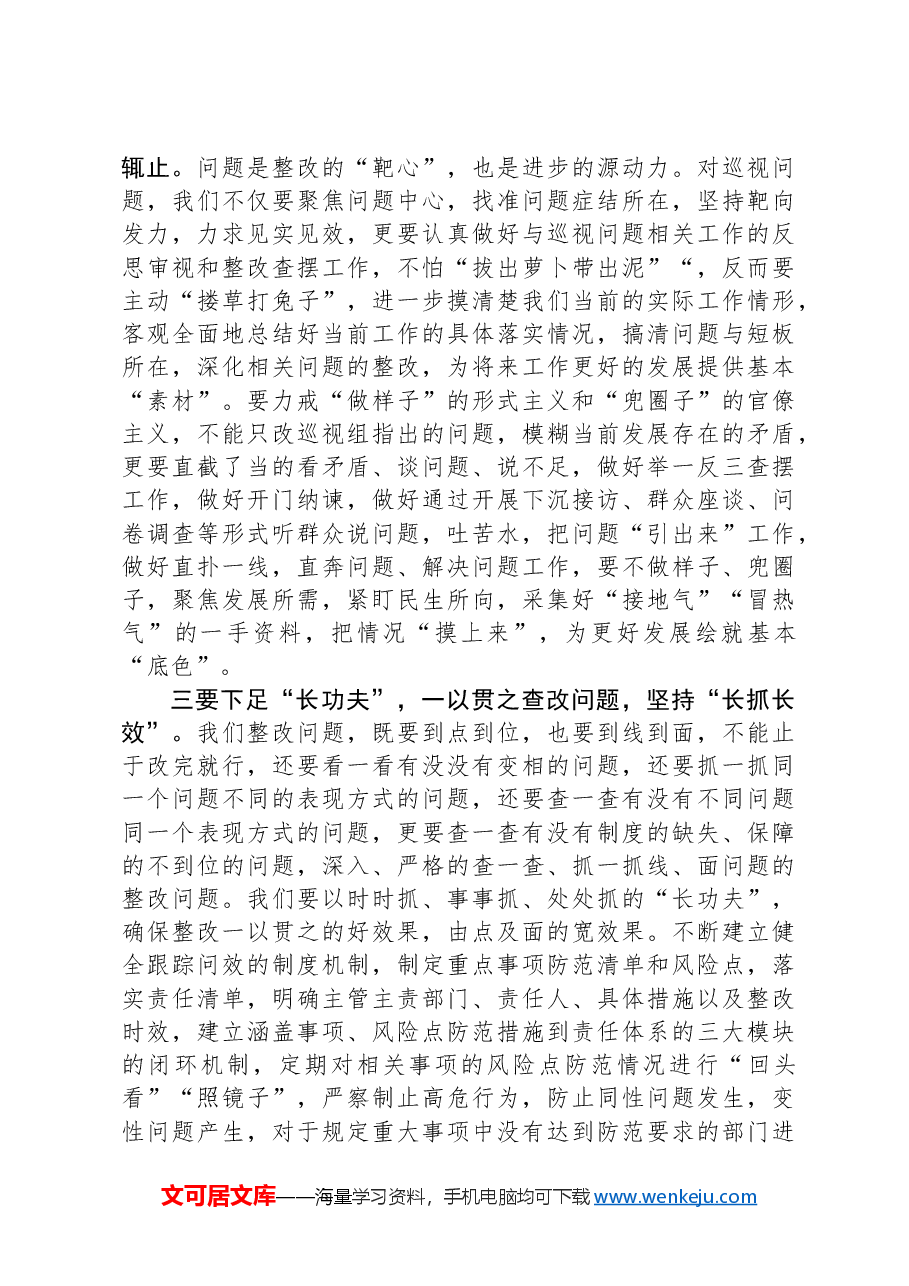 在巡视整改推进会上的讲话.docx,第2页预览