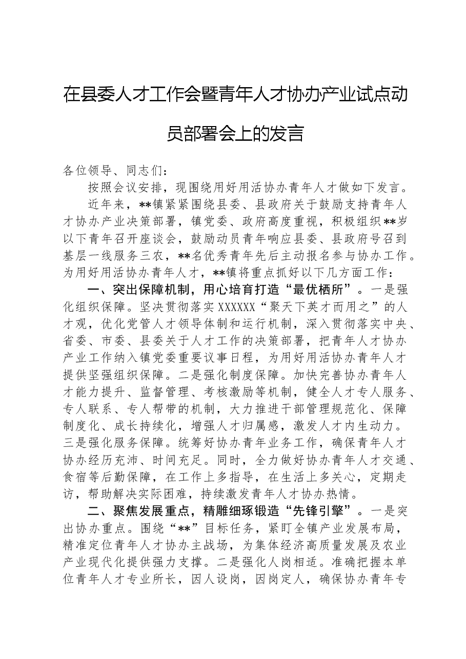 在县委人才工作会暨青年人才协办产业试点动员部署会上的发言.docx,第1页预览
