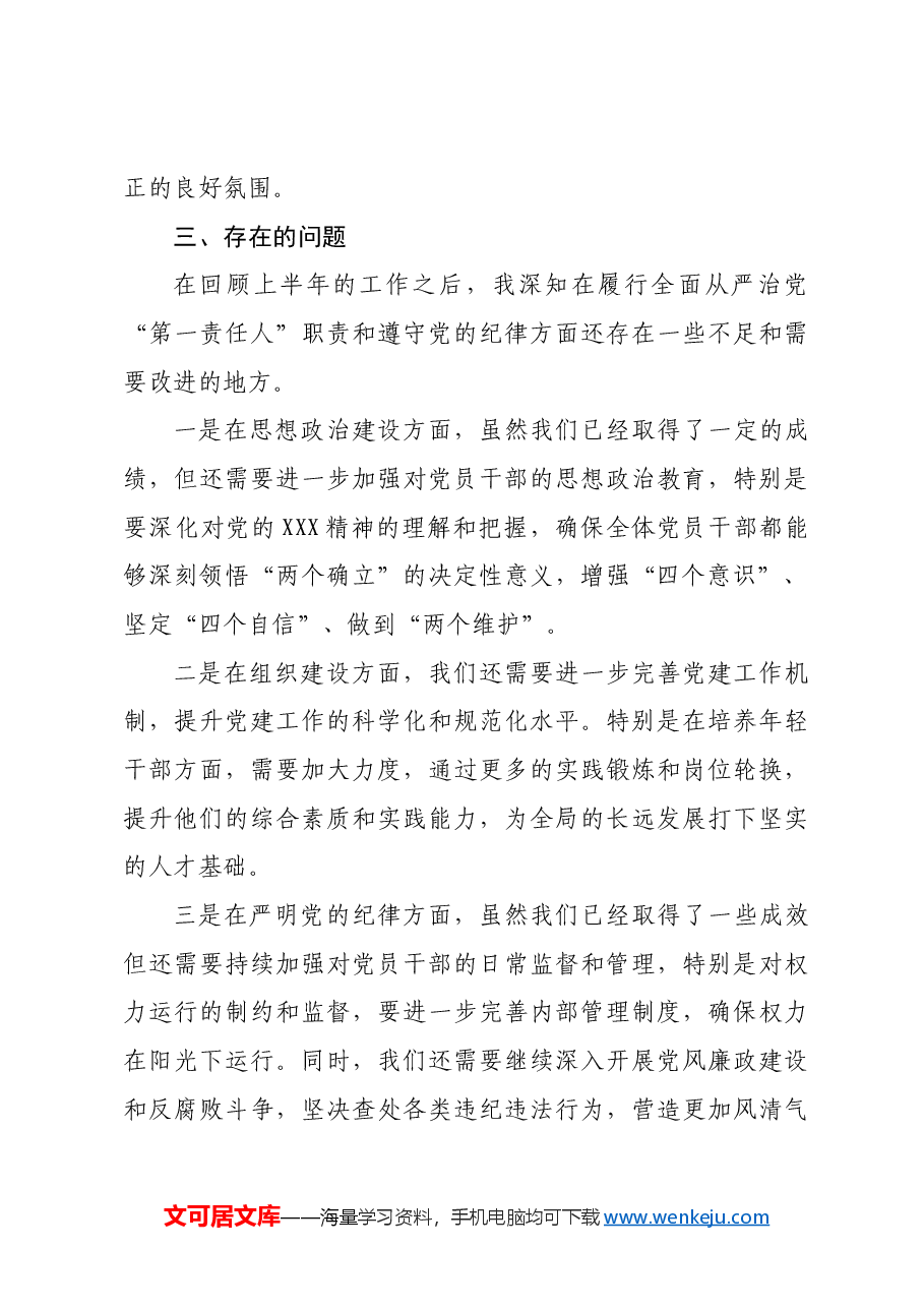 2024年市局书记上半年述责述廉报告.docx，第4页预览