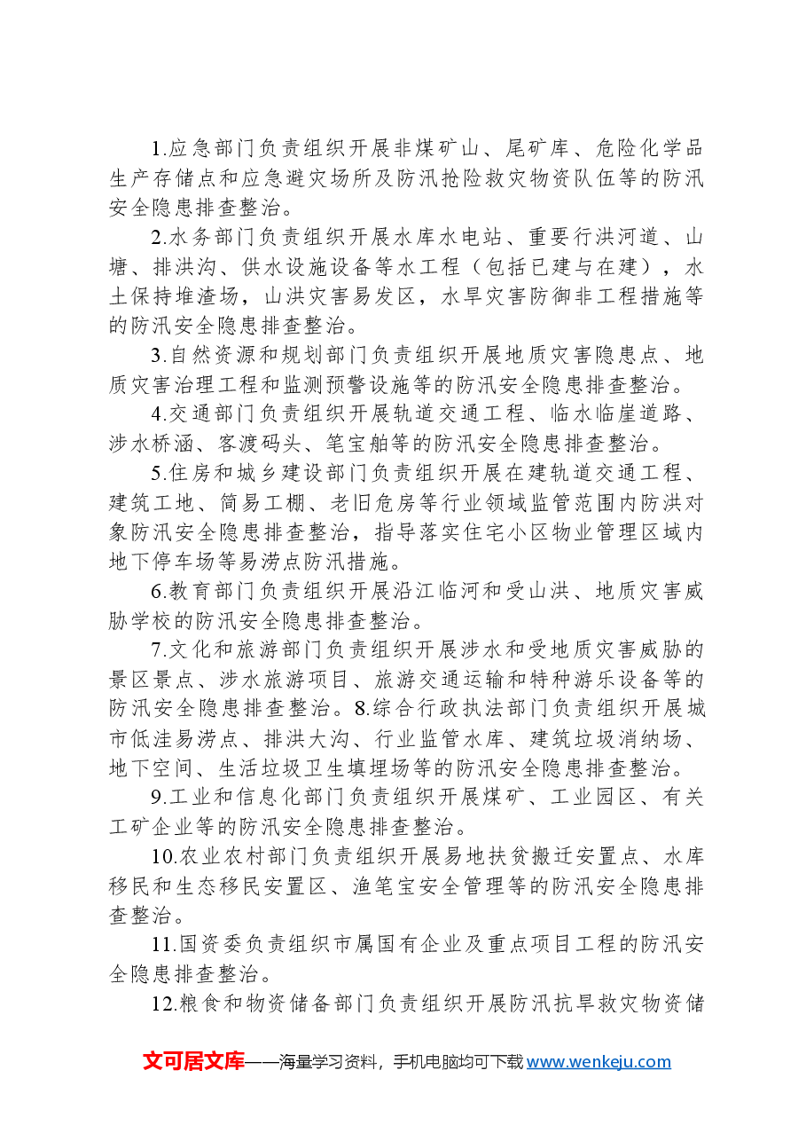 防汛安全隐患排查整治工作方案.docx,第3页预览