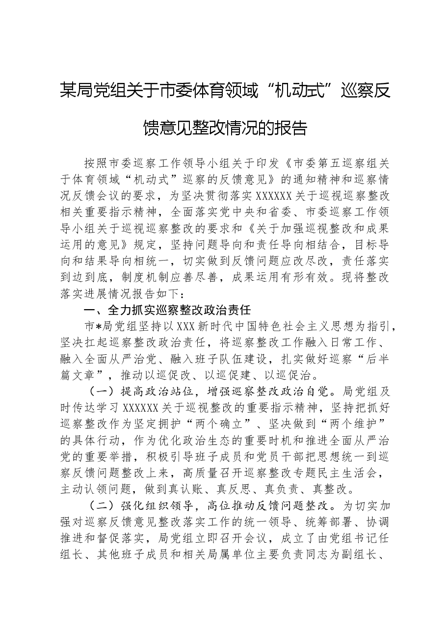 某局党组关于市委体育领域“机动式”巡察反馈意见整改情况的报告.docx，第1页预览