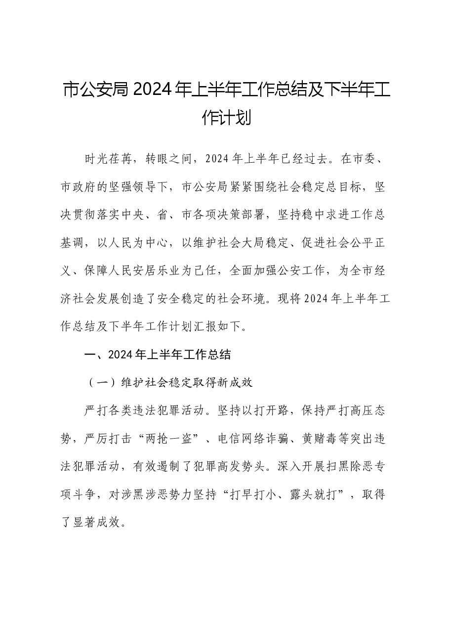 市公安局2024年上半年工作总结及下半年工作计划.docx,第1页预览