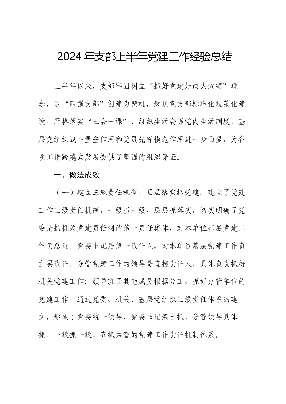 2024年支部上半年党建工作经验总结.docx，第1页预览