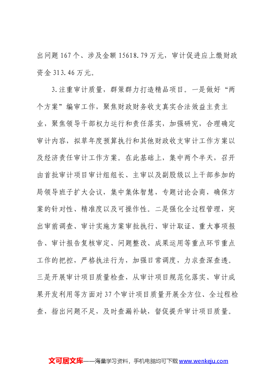 县审计局2024年度上半年工作总结.docx，第3页预览