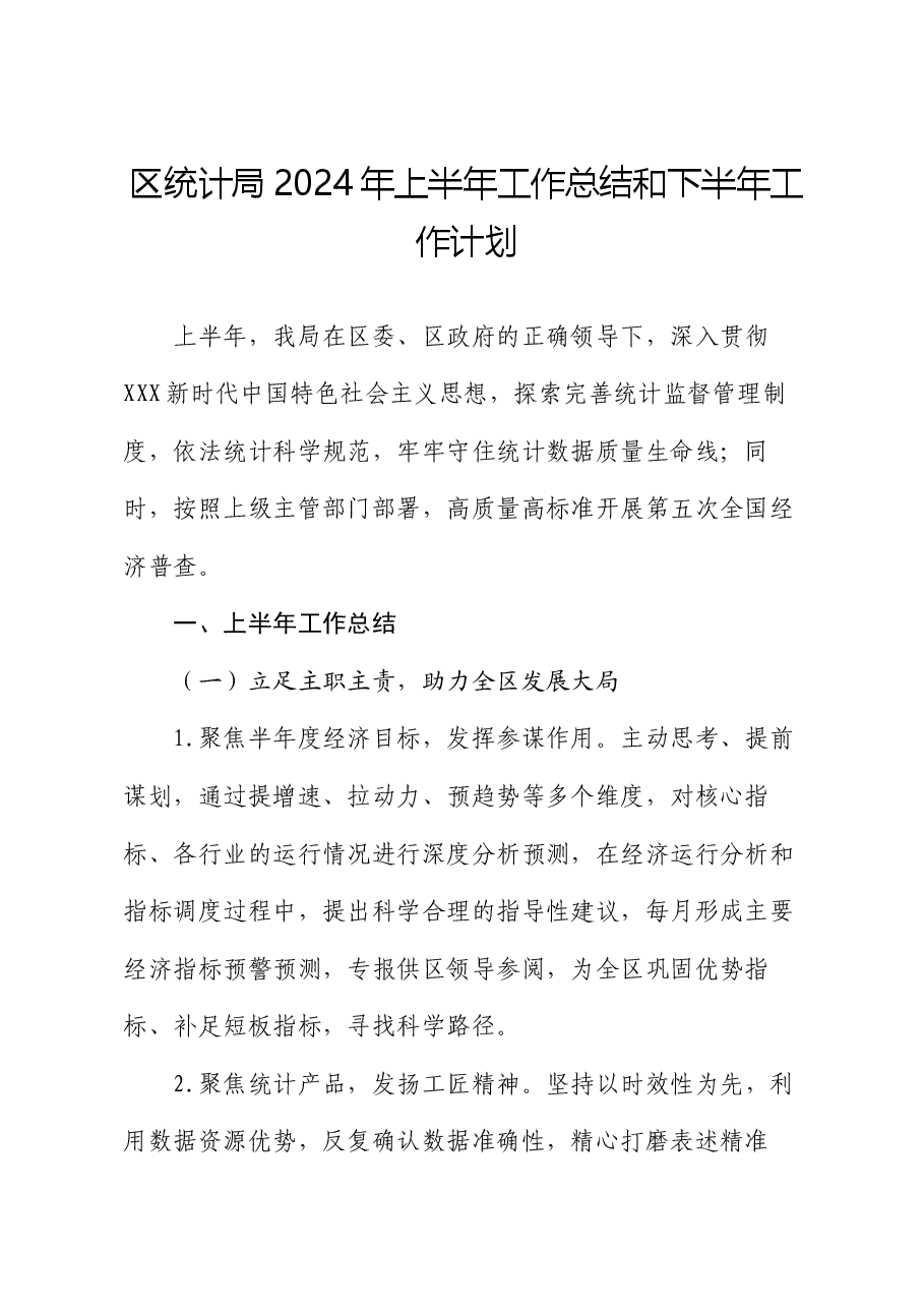 区统计局2024年上半年工作总结和下半年工作计划.docx,第1页预览