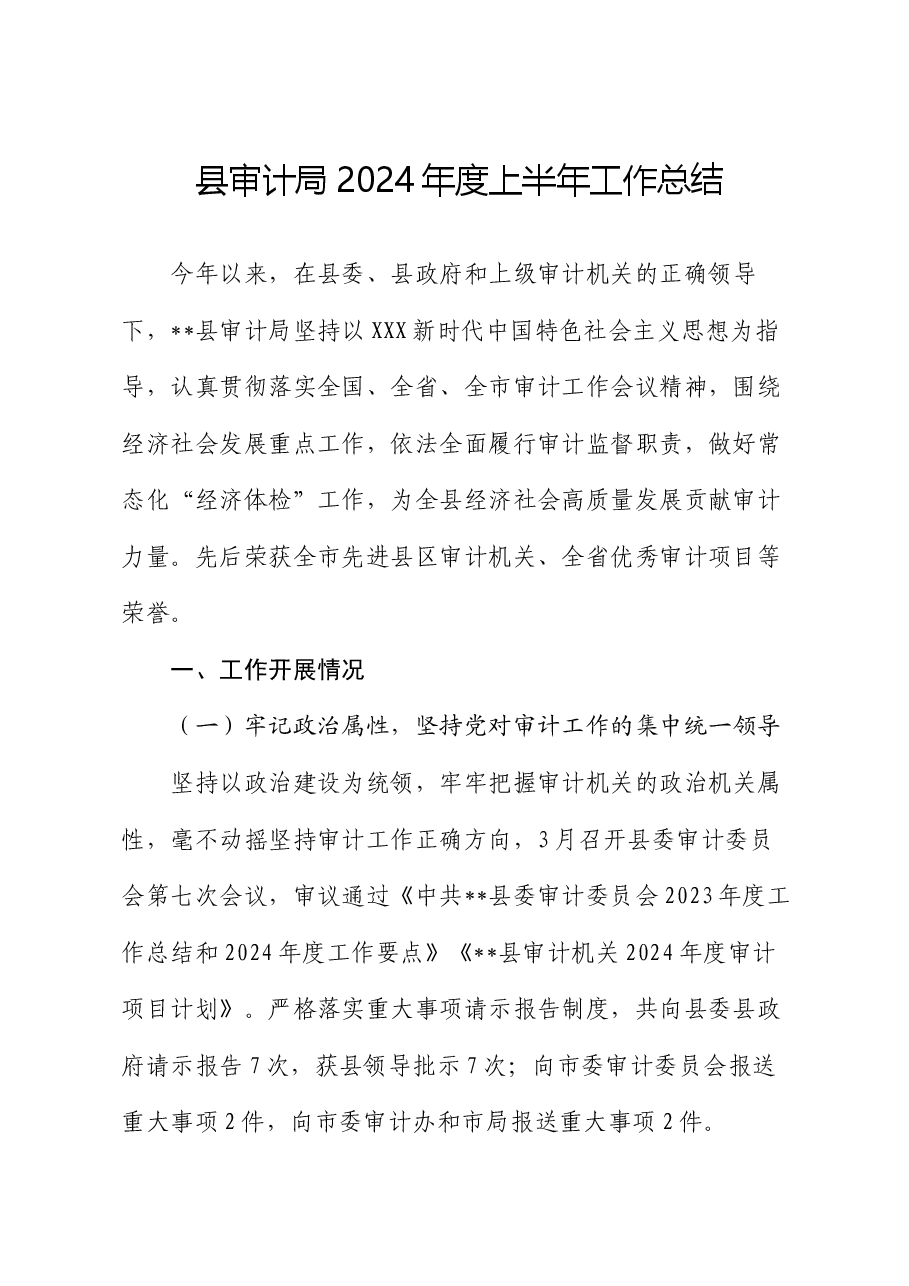 县审计局2024年度上半年工作总结.docx，第1页预览