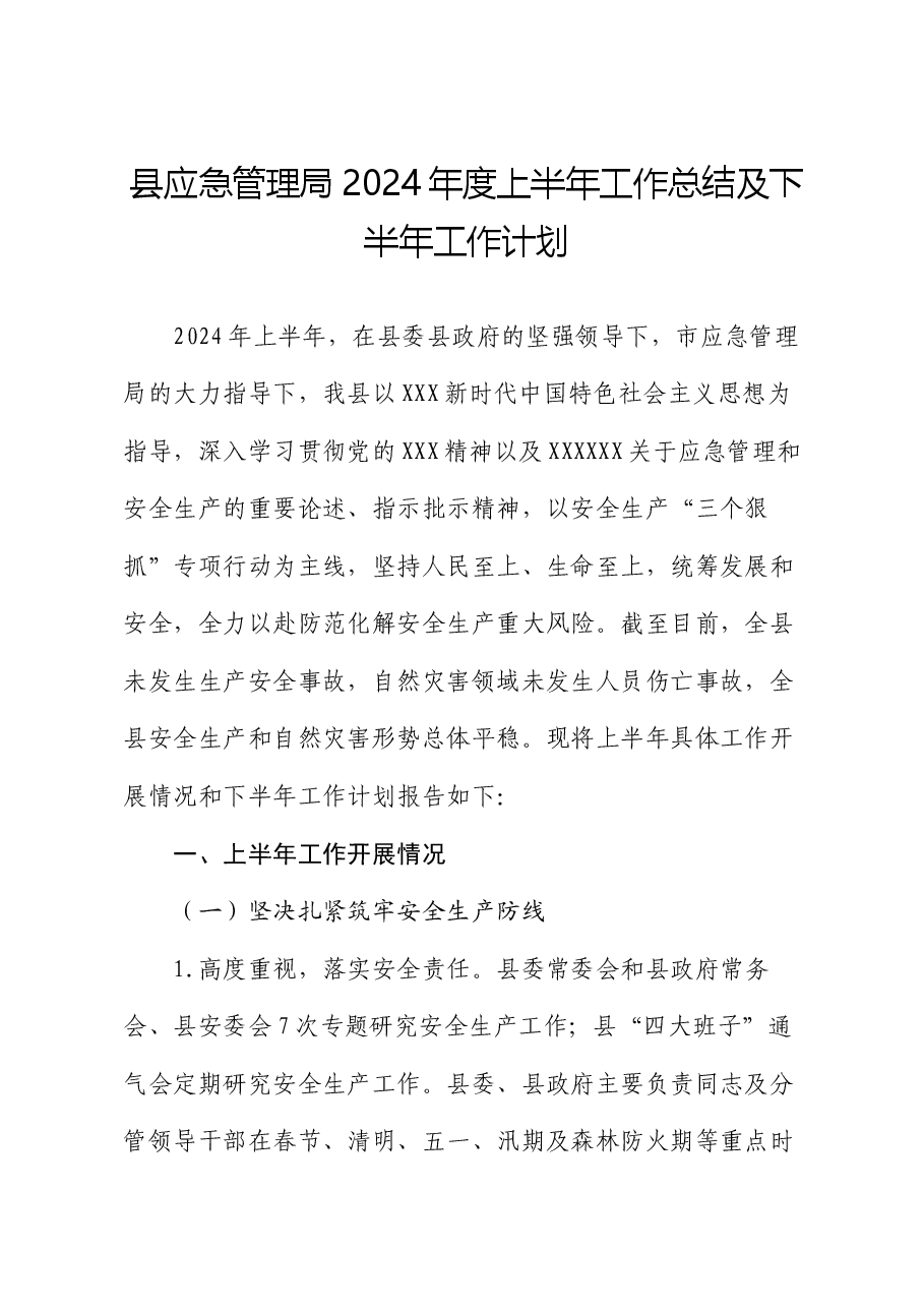 县应急管理局2024年度上半年工作总结及下半年工作计划.docx,第1页预览