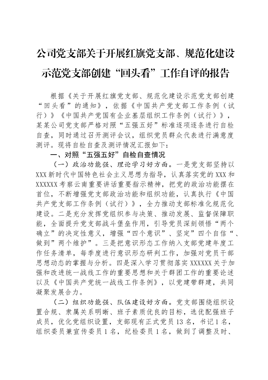 公司党支部关于开展红旗党支部、规范化建设示范党支部创建“回头看”工作自评的报告.docx，第1页预览