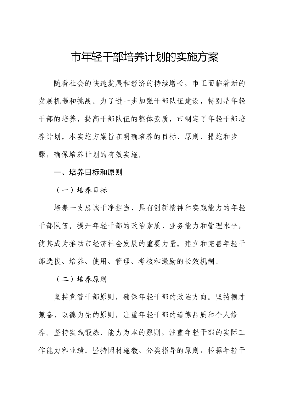 市年轻干部培养计划的实施方案.docx,第1页预览