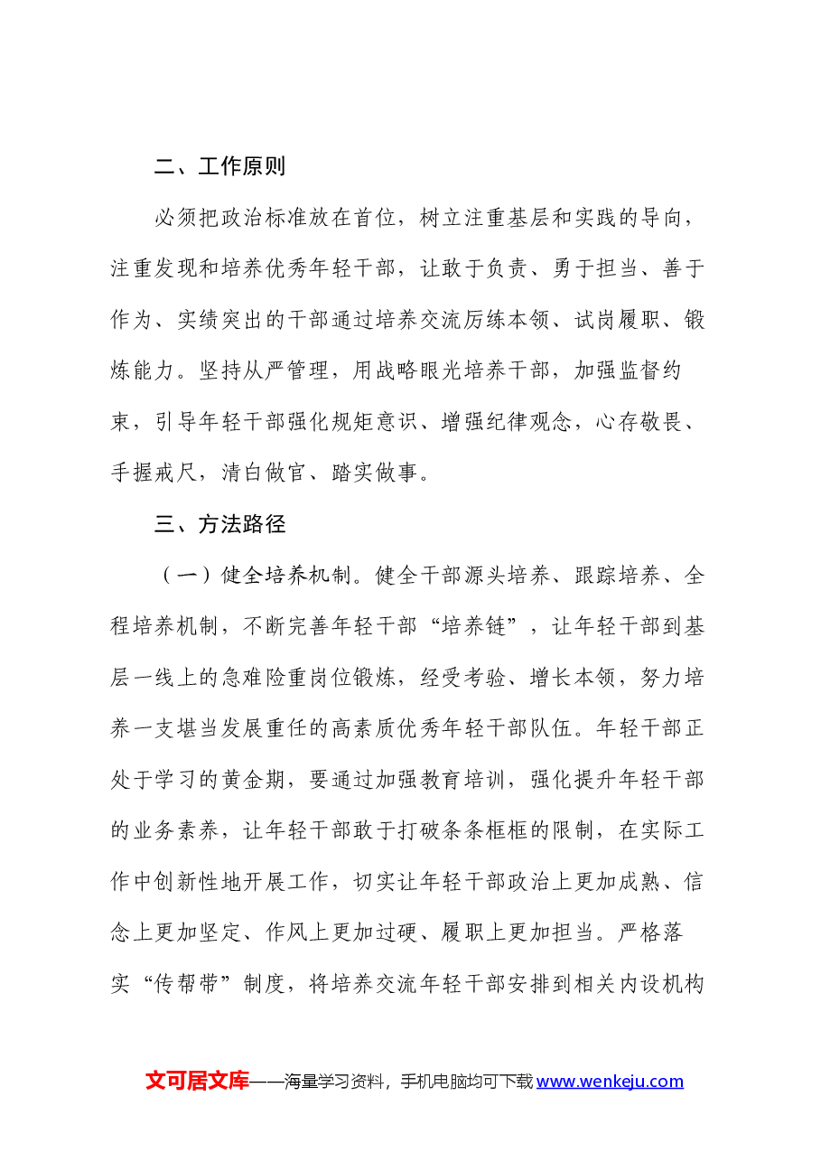 年轻干部培养计划的实施方案.docx,第2页预览