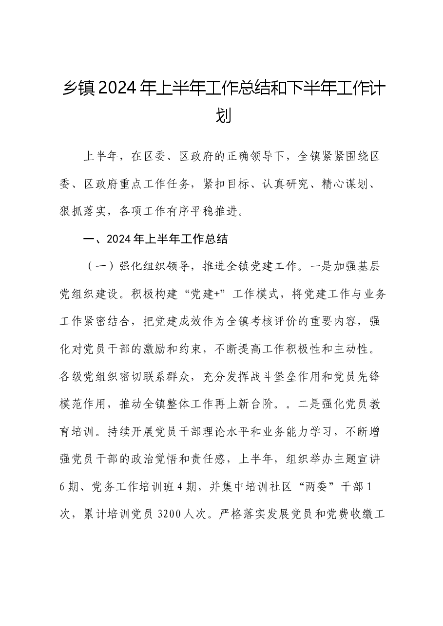 乡镇2024年上半年工作总结和下半年工作计划.docx，第1页预览