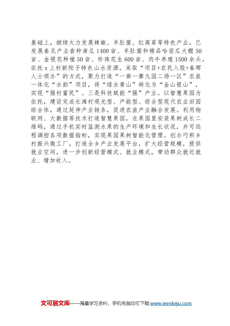 乡党委书记关于党建赋能乡村振兴经验交流材料.docx，第3页预览