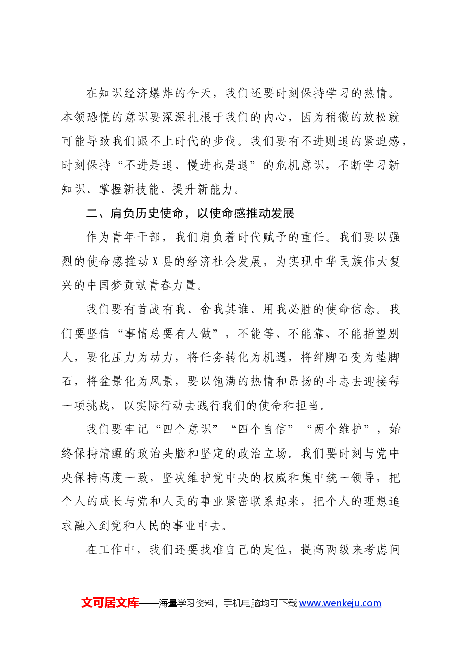 在县青年干部座谈会上的讲话.docx,第2页预览
