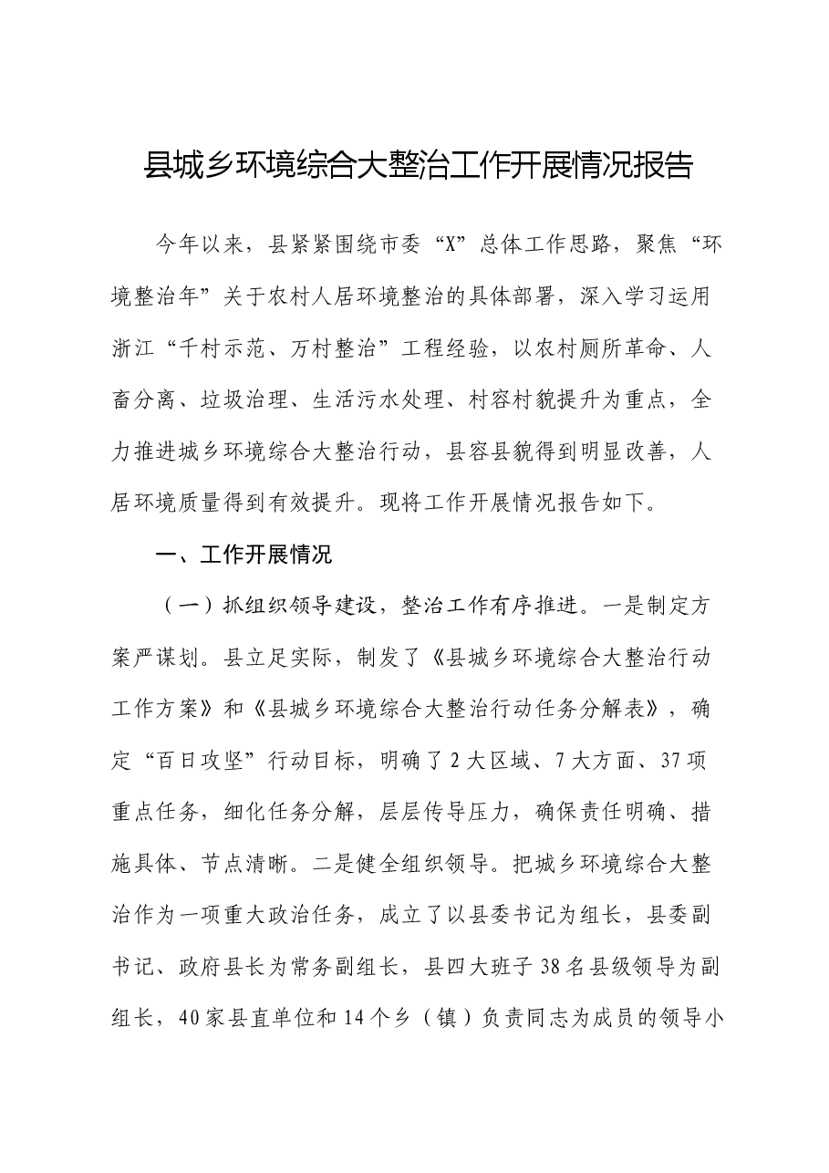 县城乡环境综合大整治工作开展情况报告.docx,第1页预览