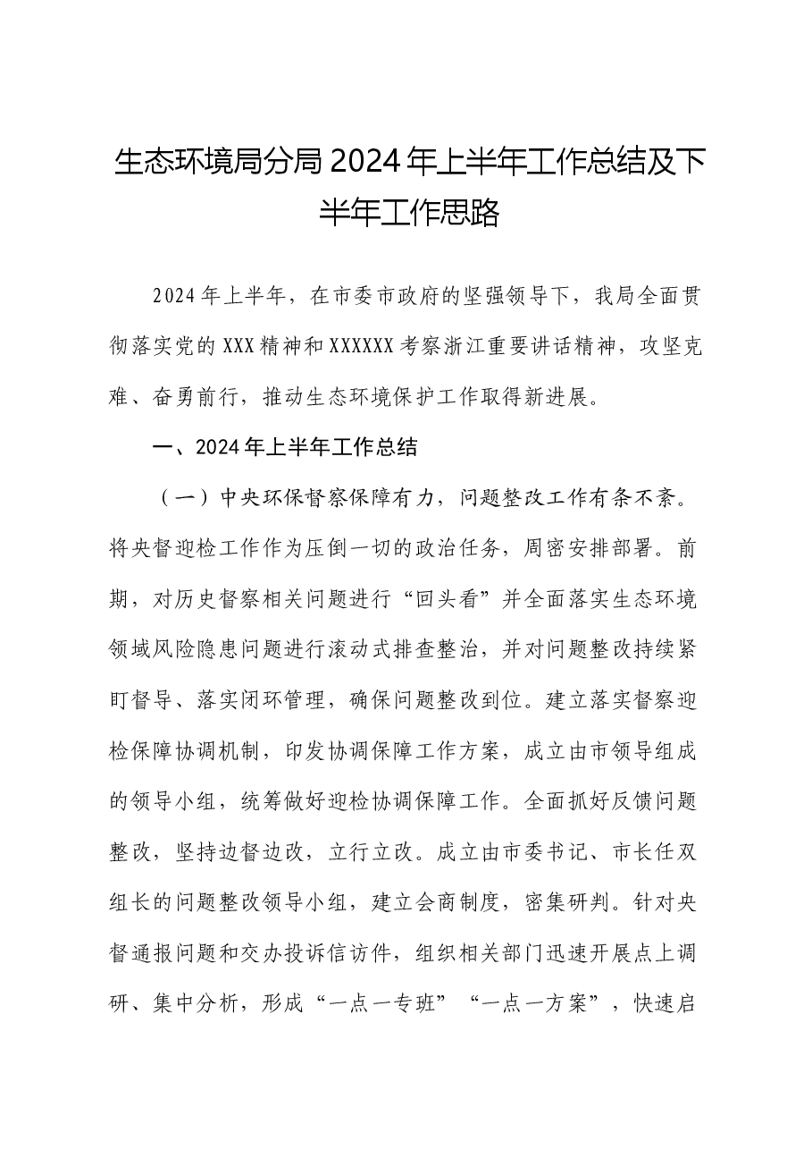 生态环境局分局2024年上半年工作总结及下半年工作思路.docx,第1页预览