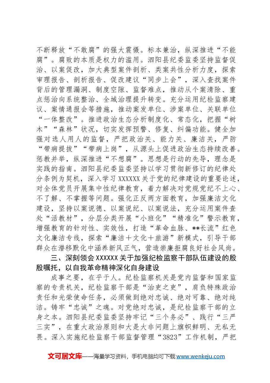 纪委书记在纪检监察机关党支部全体党员大会上的纪律党课讲稿.docx,第3页预览