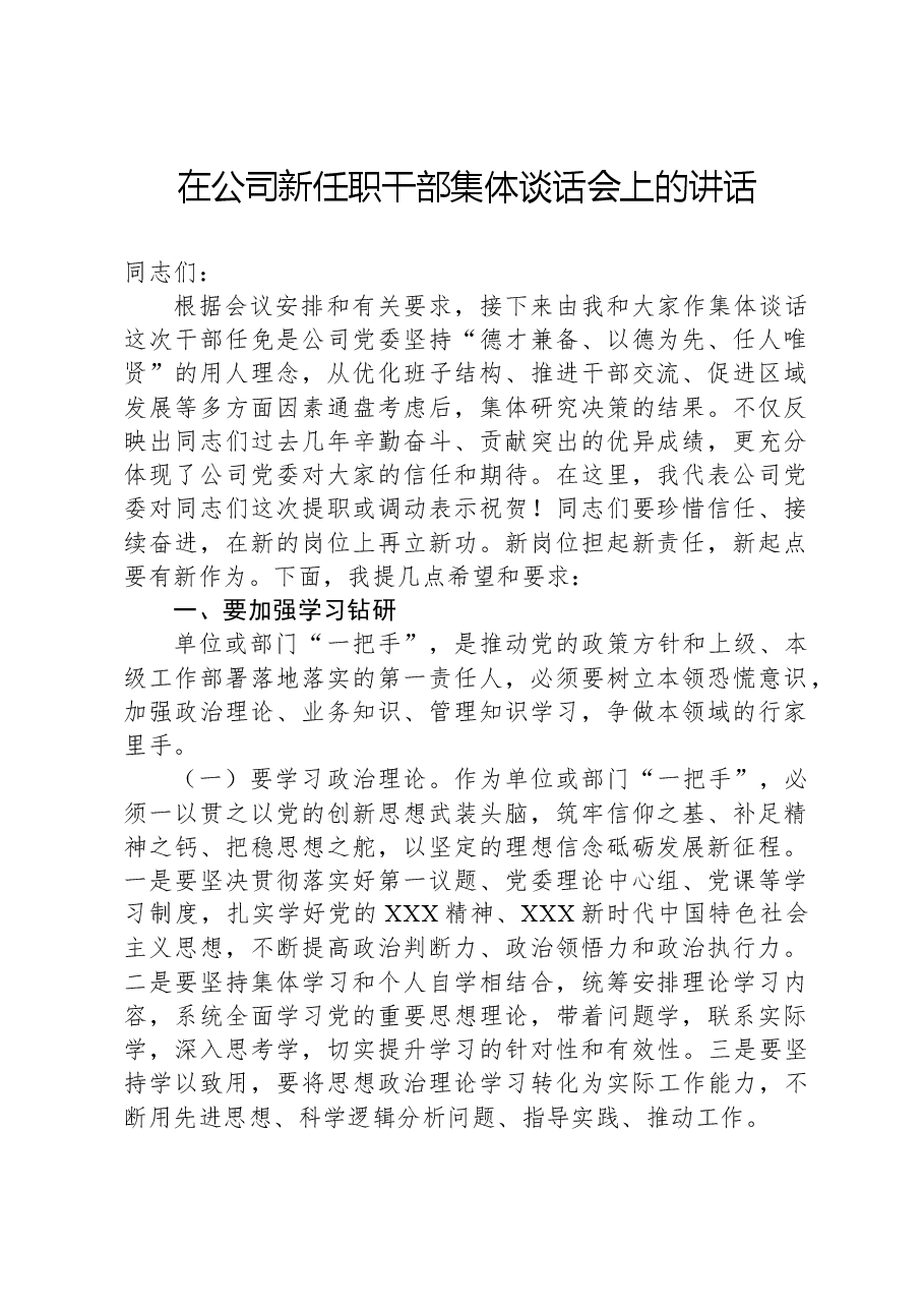 在公司新任职干部集体谈话会上的讲话.docx,第1页预览