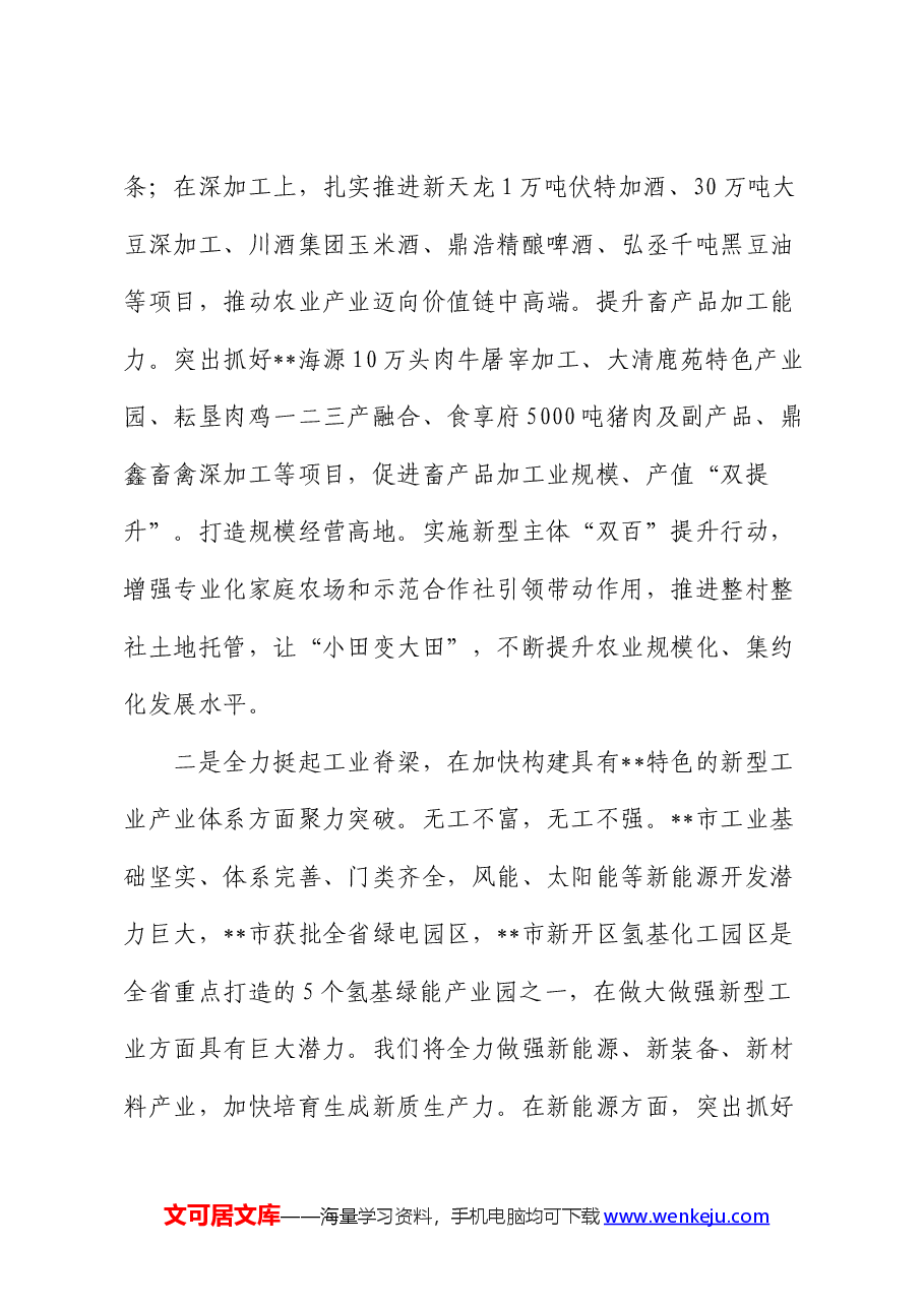 在2024年市州党委书记座谈会上的汇报发言.docx,第3页预览