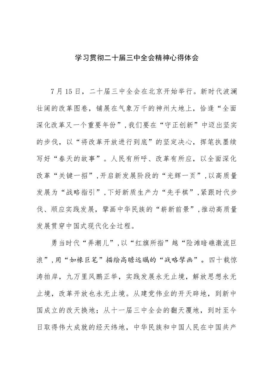 （8篇）学习2024二十届三中全会精神心得研讨材料.docx，第2页预览