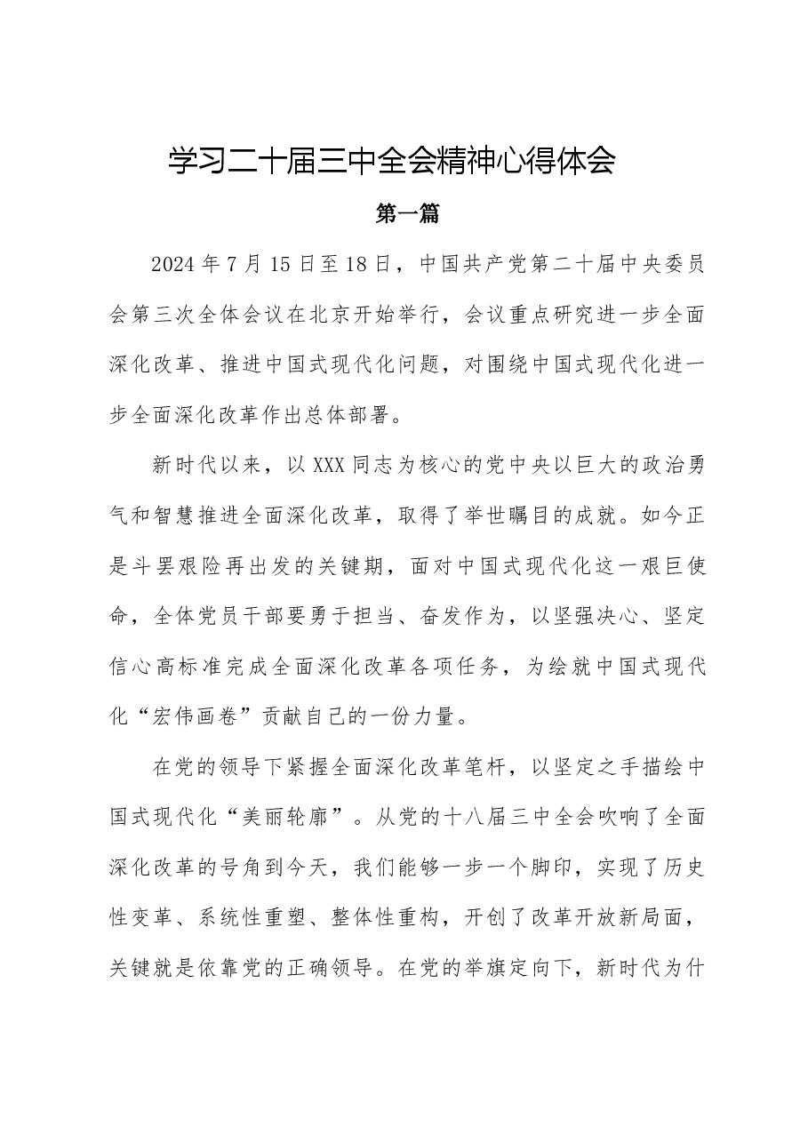 (12篇)二十届三中全会心得体会.docx,第1页预览