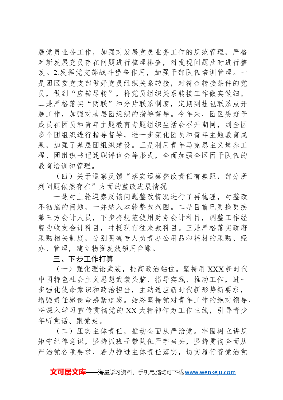 X区团委支部委员会关于巡察整改进展情况的报告.docx,第4页预览
