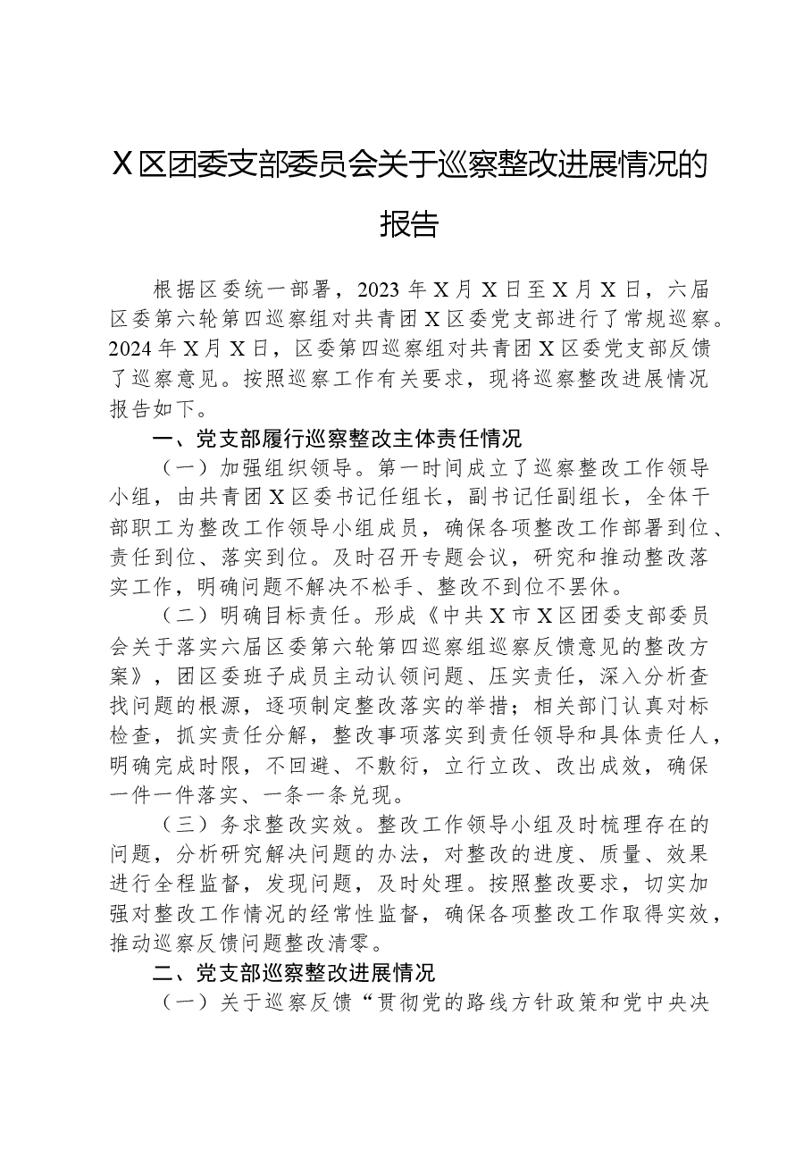 X区团委支部委员会关于巡察整改进展情况的报告.docx,第1页预览