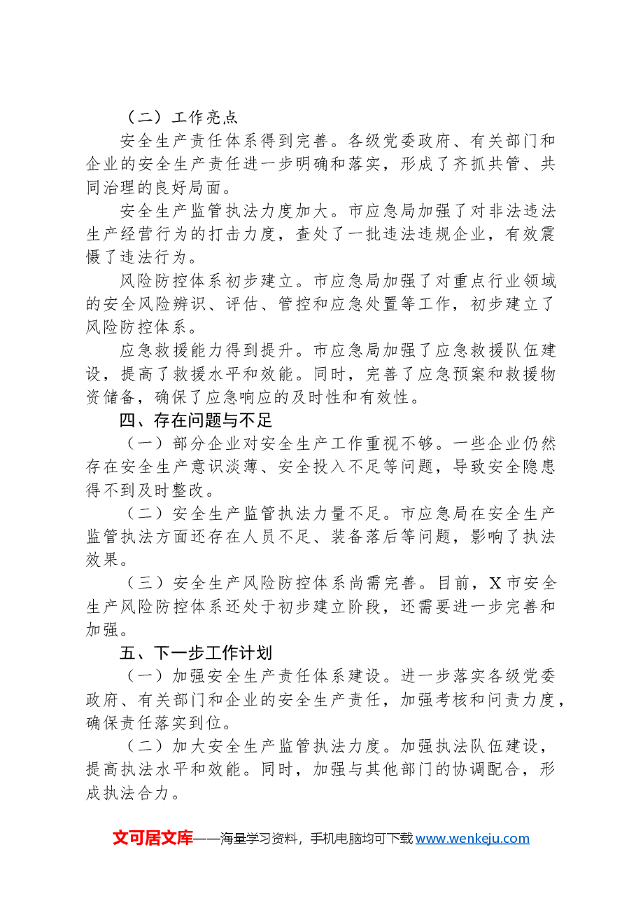 X市应急局2024年安全生产治本攻坚三年行动实施工作总结.docx,第3页预览
