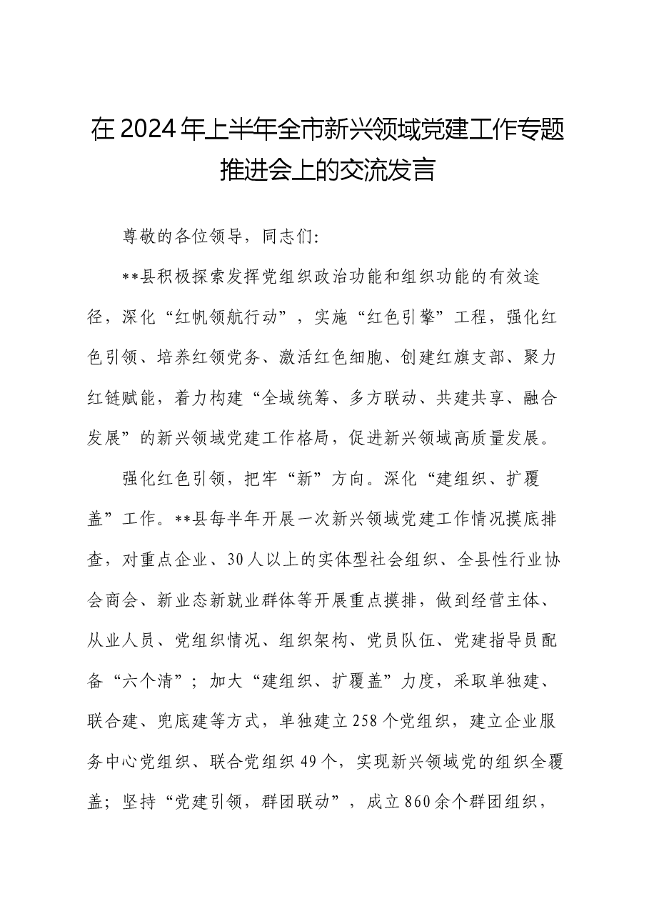 在2024年上半年全市新兴领域党建工作专题推进会上的交流发言.docx,第1页预览