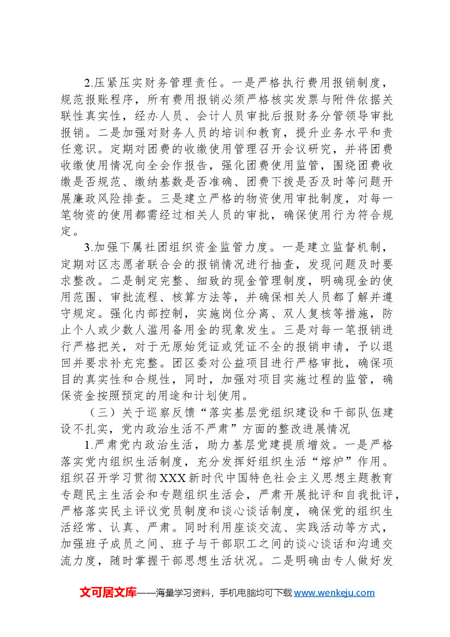 X区团委支部委员会关于巡察整改进展情况的报告.docx,第3页预览