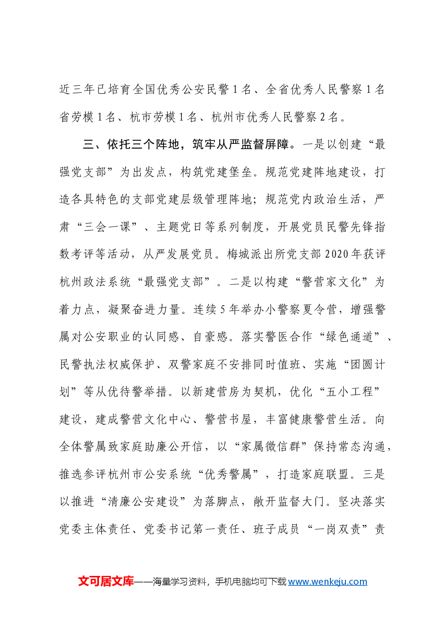 创新实施层级管理全面规范从严管党治警.docx,第3页预览