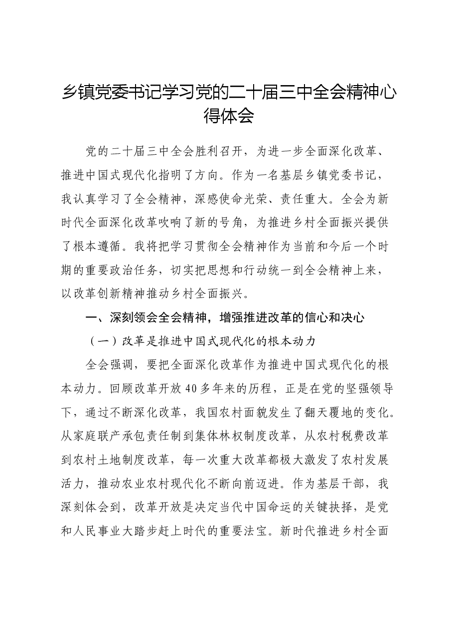 乡镇党委书记学习党的二十届三中全会精神心得体会.docx,第1页预览