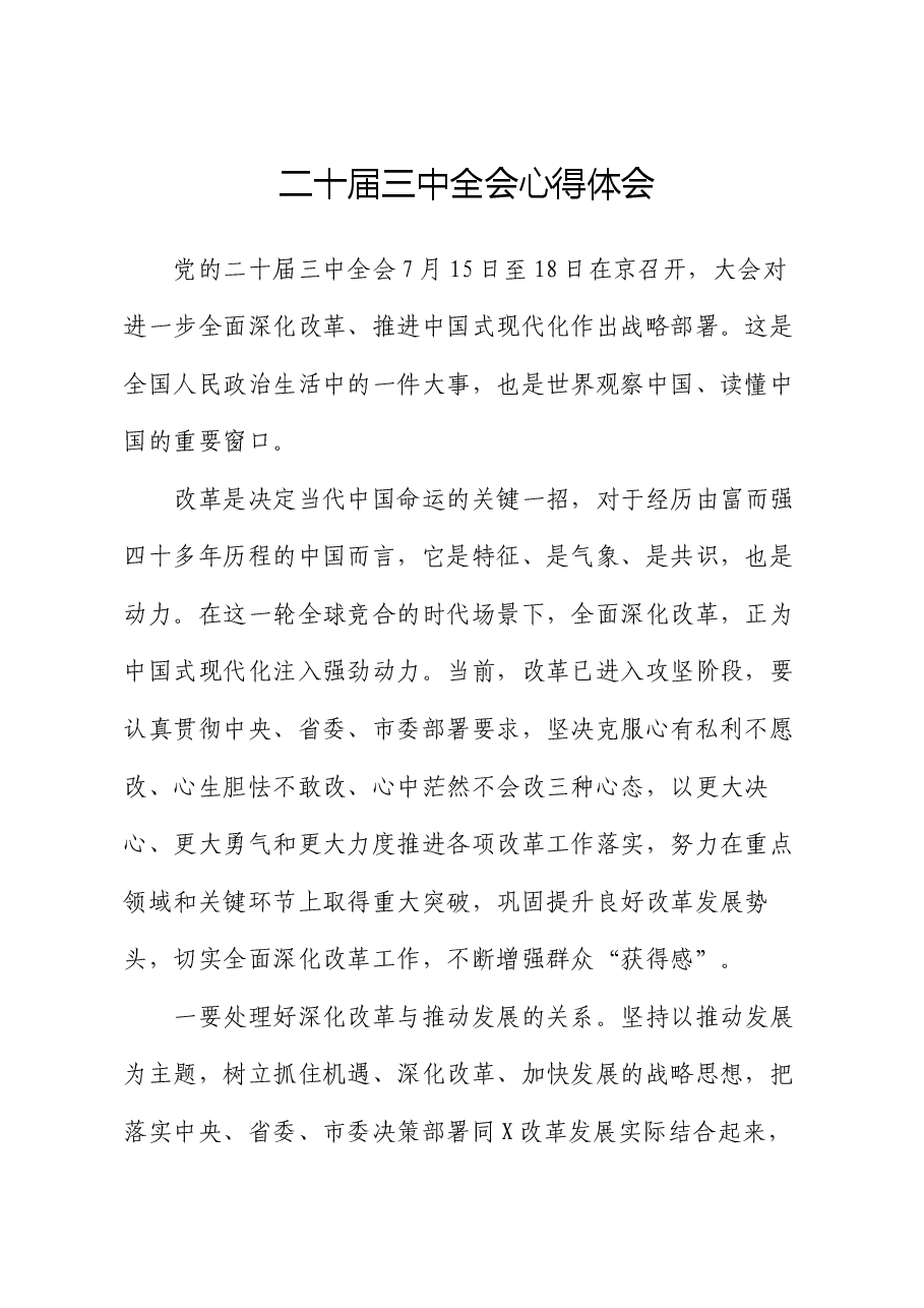 二十届三中全会心得体会2.docx,第1页预览