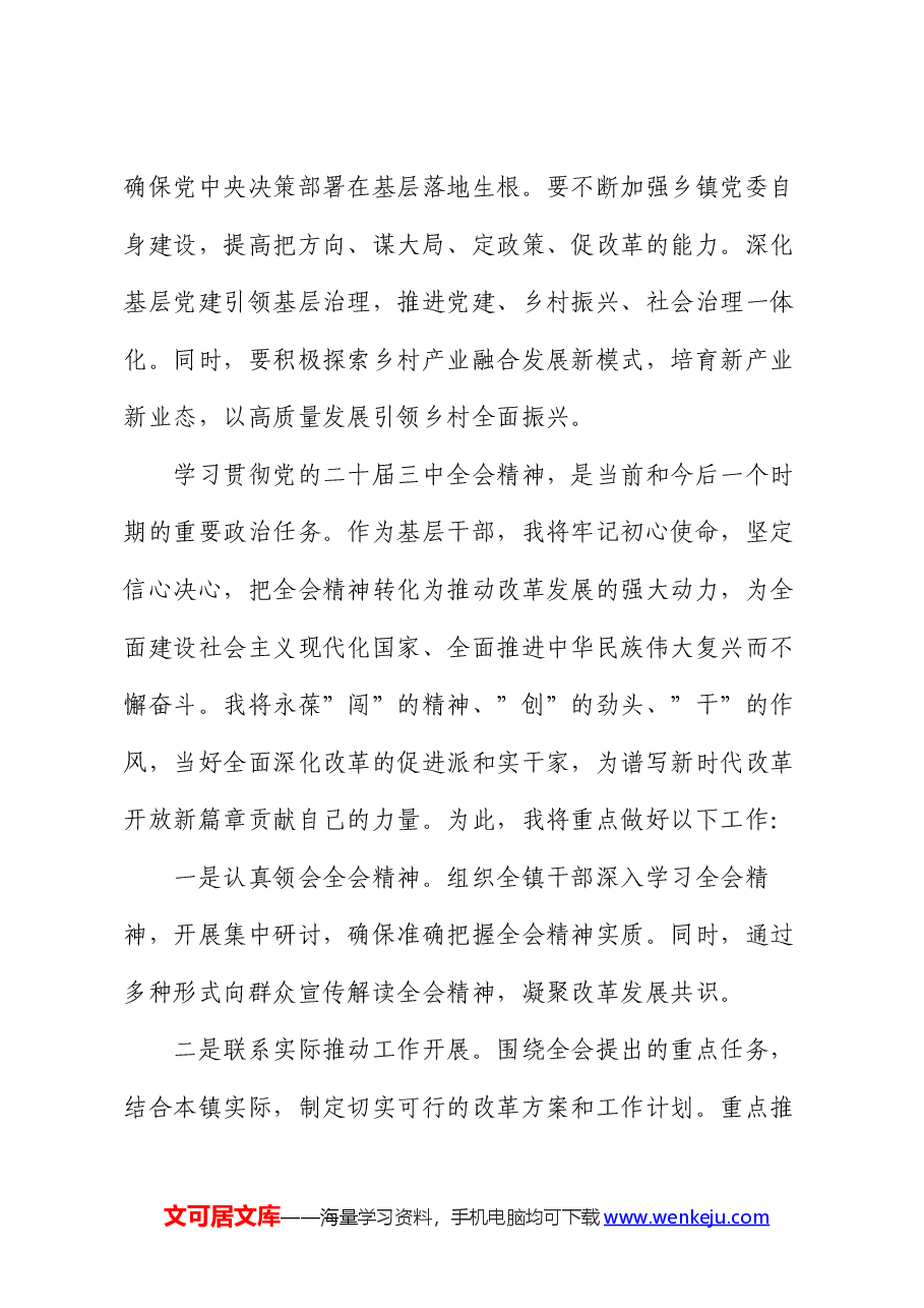 乡镇领导干部学习贯彻党的二十届三中全会精神的研讨发言.docx,第3页预览