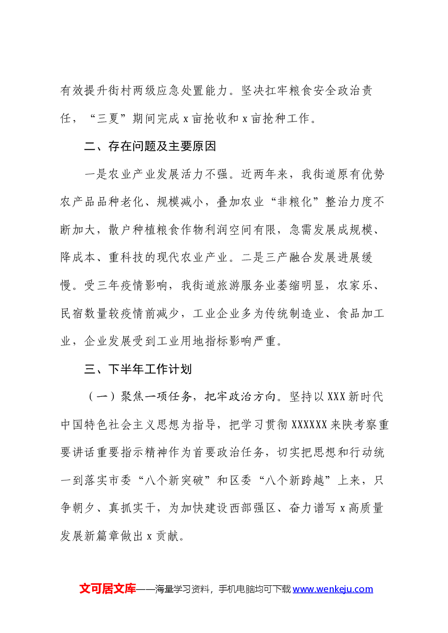 街道2024年上半年工作总结和下半年工作计划.docx,第4页预览