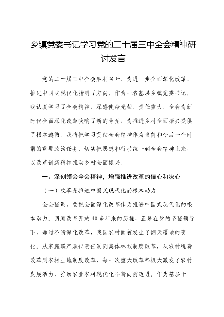 乡镇党委书记学习党的二十届三中全会精神研讨发言.docx,第1页预览