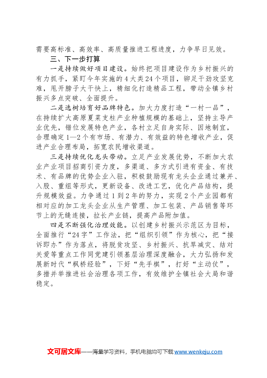 在县委农村工作领导小组（县实施乡村振兴战略领导小组）暨全县帮扶工作领导小组2024年第三次（扩大）会议上的发言.docx，第3页预览