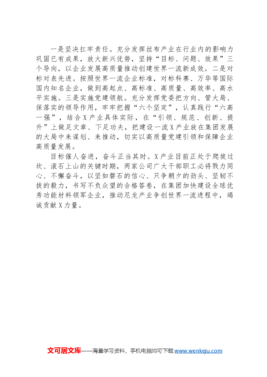 在集团贯彻落实集团第一次党代会精神专题会议上的发言.docx，第3页预览