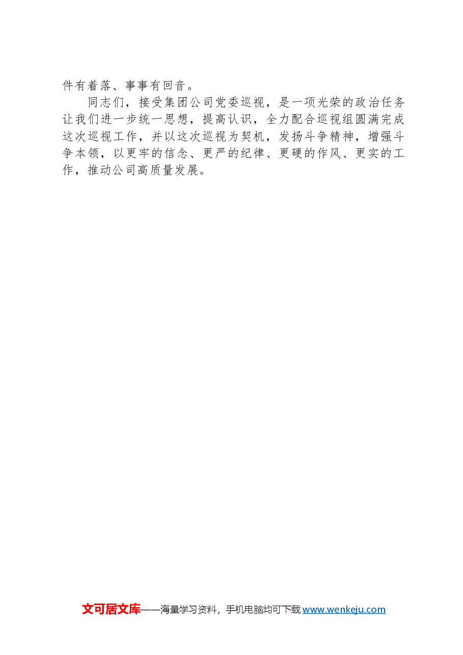 在集团公司党委巡视公司党委巡视迎检会上的讲话.docx,第4页预览
