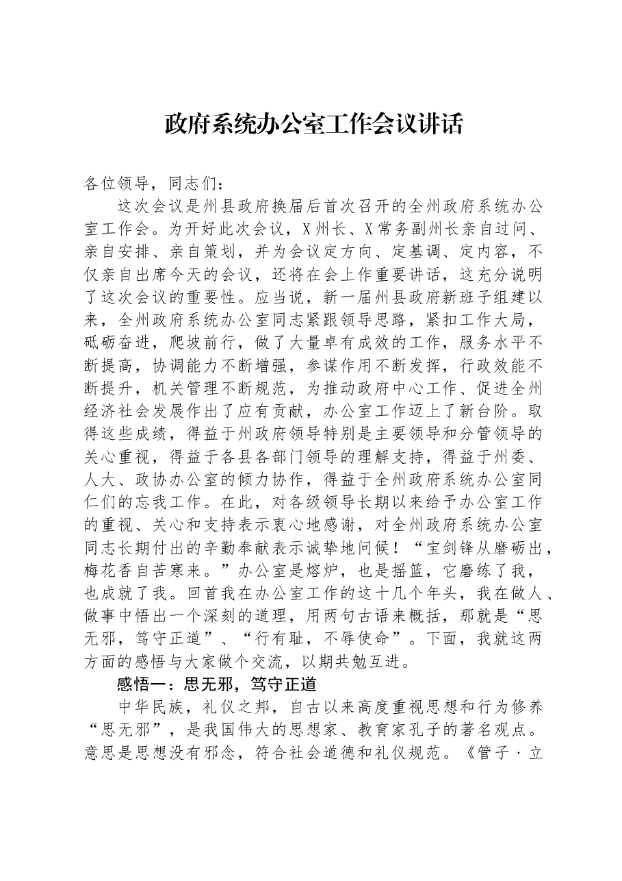 政府系统办公室工作会议讲话.docx,第1页预览
