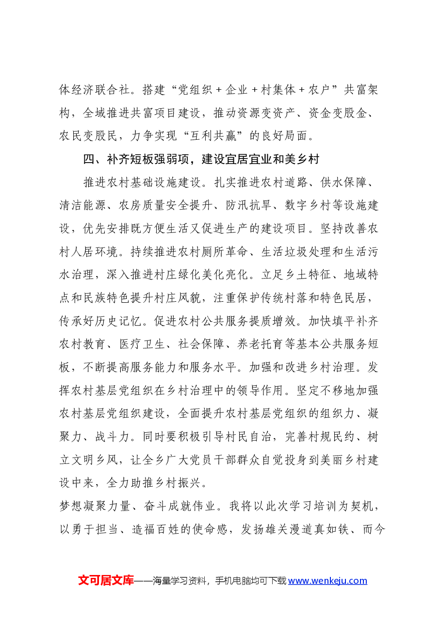 参加全国乡镇党委书记推进乡村全面振兴视频培训班心得体会及感想收获.docx,第4页预览