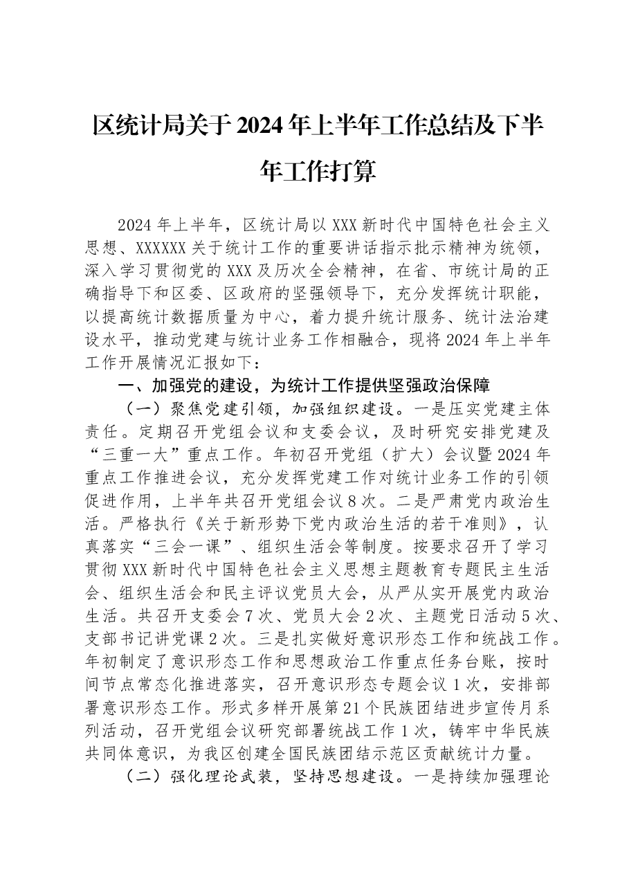 区统计局关于2024年上半年工作总结及下半年工作打算.docx,第1页预览