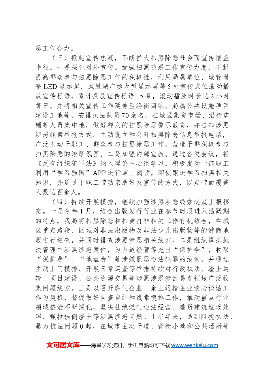 2024年上半年扫黑除恶斗争工作总结.docx,第2页预览